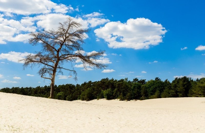 Nationalpark Loonse und Drunense Dünen