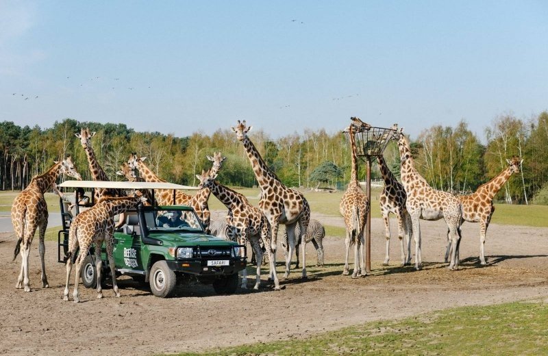 Safaripark Beekse Bergen