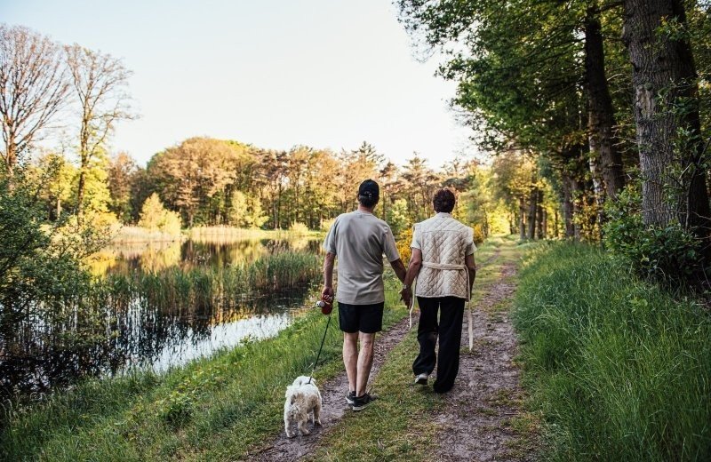 Wandelen met hond brabant